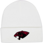 LEGGETT VALLEY SCHOOL PANTHERS <span class="pdp-name-mascot">LEGGETT VALLEY PANTHERS</span> Port & Company Knit Cap Front Thumbnail
