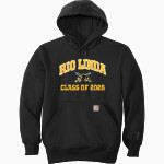 RIO LINDA HIGH SCHOOL KNIGHTS <span class="pdp-name-mascot">RIO LINDA KNIGHTS</span> Carhartt Men's Rain Defender Paxton Heavyweight Hooded Sweatshirt Front Thumbnail
