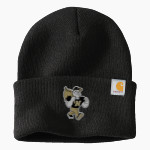 NOBLESVILLE MILLERS stronger together Carhartt Watch Cap 2.0 Front Thumbnail