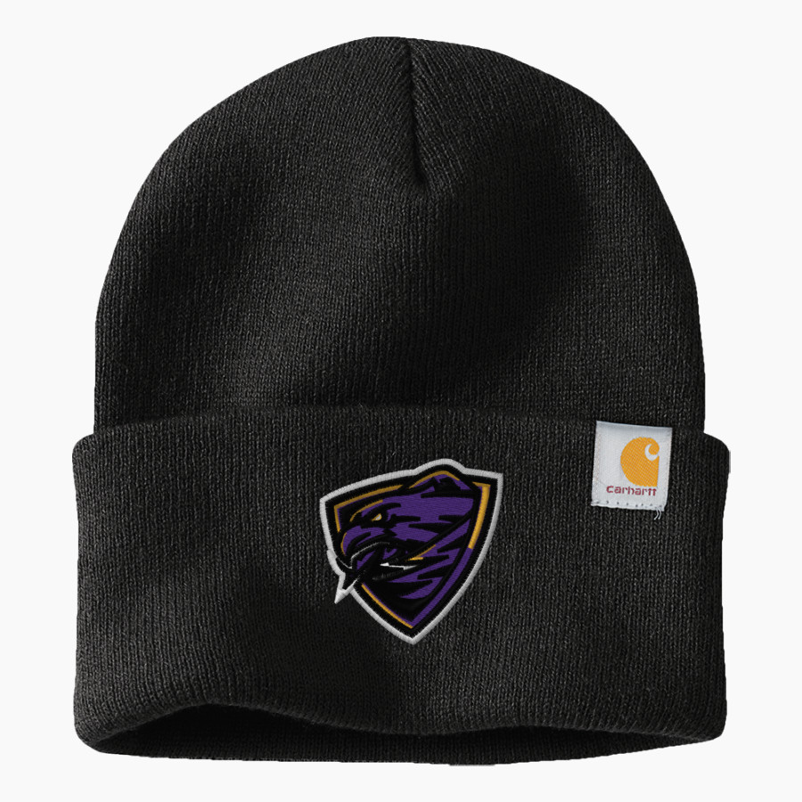 Dayton Athletic Vocational Academy Blackbirds <span class="pdp-name-mascot">Dayton Athletic Vocational Academy Blackbirds</span> Carhartt Watch Cap 2.0