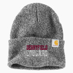 THE DERRYFIELD SCHOOL COUGARS <span class="pdp-name-mascot">THE DERRYFIELD COUGARS</span> Carhartt Watch Cap 2.0 Front Thumbnail