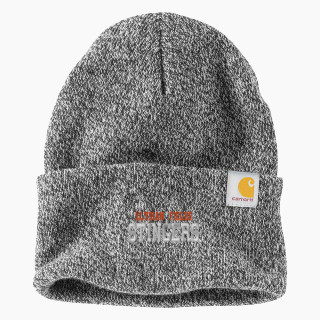 Carhartt Watch Cap 2.0