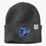 ALL SAINTS CATHOLIC HIGH SCHOOL COUGARS Carhartt Watch Cap 2.0 Front Thumbnail