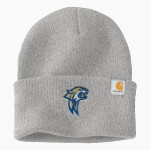 WATERFORD HIGH SCHOOL WILDCATS <span class="pdp-name-mascot">WATERFORD WILDCATS</span> Carhartt Watch Cap 2.0 Front Thumbnail
