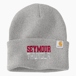 Carhartt Watch Cap 2.0