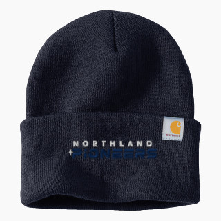 Carhartt Watch Cap 2.0