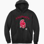 Somers Softball Spartans <span class="pdp-name-mascot">Somers Youth Softball Spartans</span> Carhartt Men's Midweight Hooded Sweatshirt Front Thumbnail