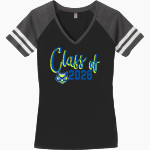 Discovery Swamp Owls <span class="pdp-name-mascot">Discovery Swamp Owls</span> District Women's Game V-Neck T-Shirt Front Thumbnail