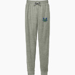 Discovery Swamp Owls District Men's Perfect Tri Fleece Jogger Front Thumbnail