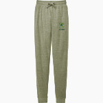 AZ Compass DRAGONS District Men's Perfect Tri Fleece Jogger Front Thumbnail