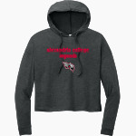 Alexandria College Legends <span class="pdp-name-mascot">Alexandria Technical & Community College Legends</span> District Women's Perfect Tri Long Sleeve Midi Hoodie Front Thumbnail
