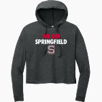 SPRINGFIELD SPARTANS The Online Store <span class="pdp-name-mascot">SPRINGFIELD SPARTANS</span> District Women's Perfect Tri Long Sleeve Midi Hoodie Front Thumbnail