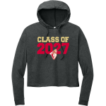 Two Rivers High School WARRIORS <span class="pdp-name-mascot">HENRY SIBLEY WARRIORS</span> District Women's Perfect Tri Long Sleeve Midi Hoodie Front Thumbnail