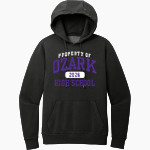 OZARK HIGH SCHOOL HILLBILLIES <span class="pdp-name-mascot">OZARK HILLBILLIES</span> District Men's Vintage Wash Fleece Hoodie Front Thumbnail