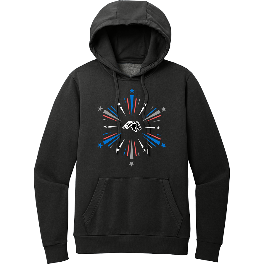 Sisters Outlaws <span class="pdp-name-mascot">Sisters Outlaws</span> District Men's Vintage Wash Fleece Hoodie