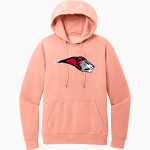 Bryn Athyn College The Official Store of the Lions <span class="pdp-name-mascot">Bryn Athyn College Lions</span> District Men's Vintage Wash Fleece Hoodie Front Thumbnail