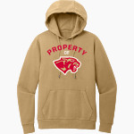 CANEY CREEK HIGH SCHOOL PANTHERS District Men's Vintage Wash Fleece Hoodie Front Thumbnail