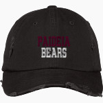 Paideia High Bears <span class="pdp-name-mascot">Paideia High School Bears</span> District Distressed Cap Front Thumbnail
