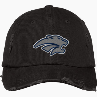 District Distressed Cap