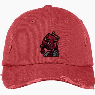 District Distressed Cap