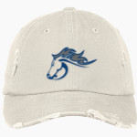 JONES LEADERSHIP ACADEMY Mustangs <span class="pdp-name-mascot">Jones Leadership Academy Mustangs</span> District Distressed Cap Front Thumbnail