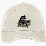 Clinton Dark Horses <span class="pdp-name-mascot">Clinton Dark Horses</span> District Distressed Cap Front Thumbnail