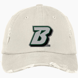 District Distressed Cap