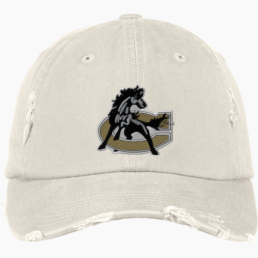 Clinton Dark Horses <span class="pdp-name-mascot">Clinton Dark Horses</span> District Distressed Cap