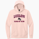 Ludlow Lions <span class="pdp-name-mascot">Lions</span> District Men's V.I.T. Fleece Hoodie Front Thumbnail