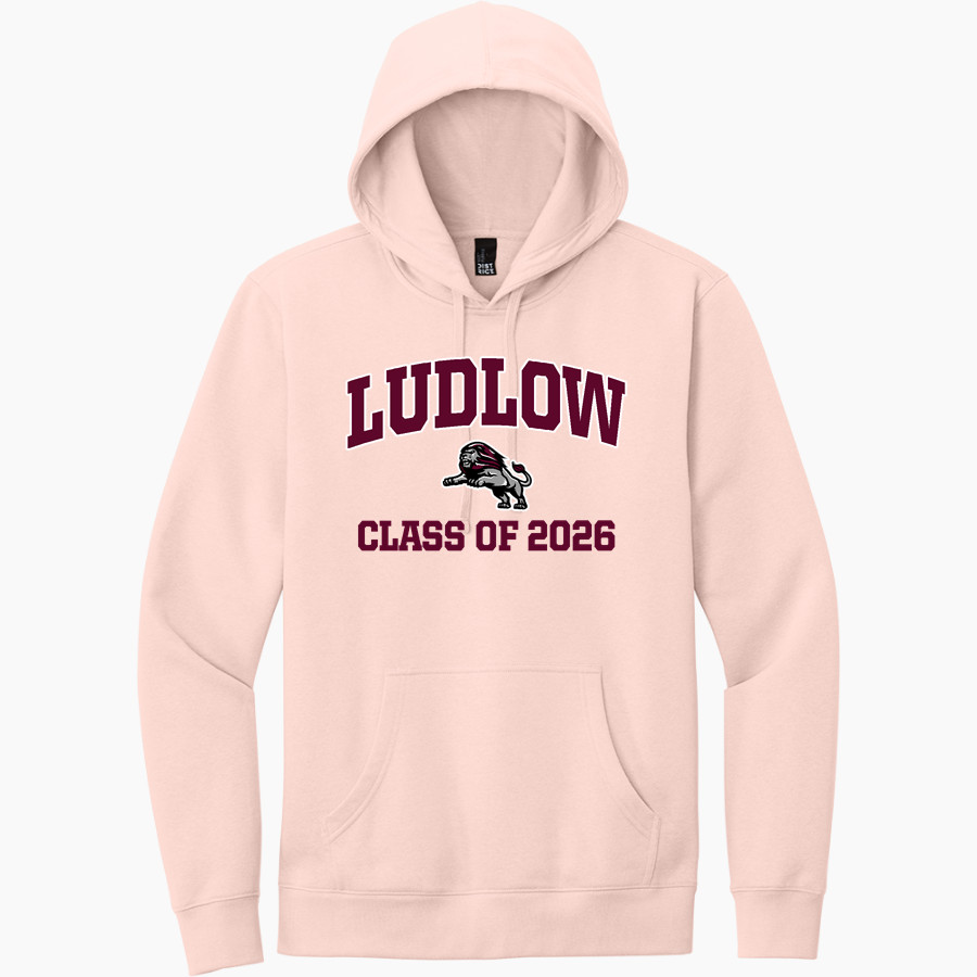 Ludlow Lions <span class="pdp-name-mascot">Lions</span> District Men's V.I.T. Fleece Hoodie