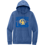 CHESTNUT RIDGE HIGH SCHOOL LIONS <span class="pdp-name-mascot">CHESTNUT RIDGE LIONS</span> District Men's V.I.T. Fleece Hoodie Front Thumbnail