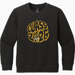SEALY HIGH SCHOOL TIGERS District Youth V.I.T. Fleece Crewneck Sweatshirt Front Thumbnail