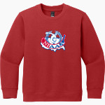 NIAAA - District Youth V.I.T. Fleece Crewneck Sweatshirt Front Thumbnail