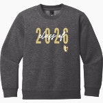 St. FRANCIS HIGH SCHOOL GOLDEN KNIGHTS <span class="pdp-name-mascot">SAINT FRANCIS GOLDEN KNIGHTS</span> District Youth V.I.T. Fleece Crewneck Sweatshirt Front Thumbnail