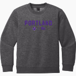 Portland Panthers <span class="pdp-name-mascot">Portland Panthers</span> District Youth V.I.T. Fleece Crewneck Sweatshirt Front Thumbnail
