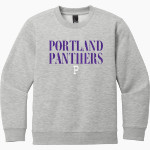 Portland Panthers District Youth V.I.T. Fleece Crewneck Sweatshirt Front Thumbnail