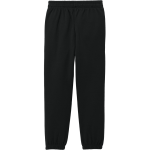 BRISTOL HIGH SCHOOL PANTHERS <span class="pdp-name-mascot">BRISTOL PANTHERS</span> District Youth V.I.T. Fleece Sweatpant Back Thumbnail