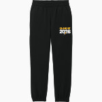 Marian Ancilla Chargers District Youth V.I.T. Fleece Sweatpant Front Thumbnail