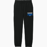 WINDSOR ACADEMY KNIGHTS <span class="pdp-name-mascot">WINDSOR ACADEMY KNIGHTS</span> District Youth V.I.T. Fleece Sweatpant Front Thumbnail