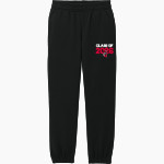 SPRINGFIELD SPARTANS The Online Store <span class="pdp-name-mascot">SPRINGFIELD SPARTANS</span> District Youth V.I.T. Fleece Sweatpant Front Thumbnail
