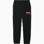 LINDHURST HIGH SCHOOL BLAZERS <span class="pdp-name-mascot">LINDHURST BLAZERS</span> District Youth V.I.T. Fleece Sweatpant Front Thumbnail