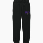 Minnesota State University Mankato <span class="pdp-name-mascot">Minnesota State Mavericks</span> District Youth V.I.T. Fleece Sweatpant Front Thumbnail