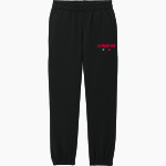 VANGUARD HIGH SCHOOL KNIGHTS <span class="pdp-name-mascot">VANGUARD KNIGHTS</span> District Youth V.I.T. Fleece Sweatpant Front Thumbnail