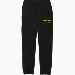 Whitnall Falcons <span class="pdp-name-mascot">Whitnall Falcons</span> District Youth V.I.T. Fleece Sweatpant Front Thumbnail