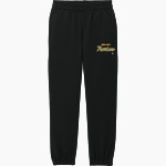 Unalaska Raiders <span class="pdp-name-mascot">Unalaska Raiders</span> District Youth V.I.T. Fleece Sweatpant Front Thumbnail
