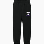 Tarleton State University Texans <span class="pdp-name-mascot">Tarleton State University Texans</span> District Youth V.I.T. Fleece Sweatpant Front Thumbnail