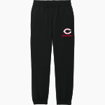 CENTRAL HIGH SCHOOL BRAVES <span class="pdp-name-mascot">CENTRAL BRAVES</span> District Youth V.I.T. Fleece Sweatpant Front Thumbnail