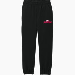 Indiana University of Pennsylvania <span class="pdp-name-mascot">Indiana University Of PA Hawks</span> District Youth V.I.T. Fleece Sweatpant Front Thumbnail