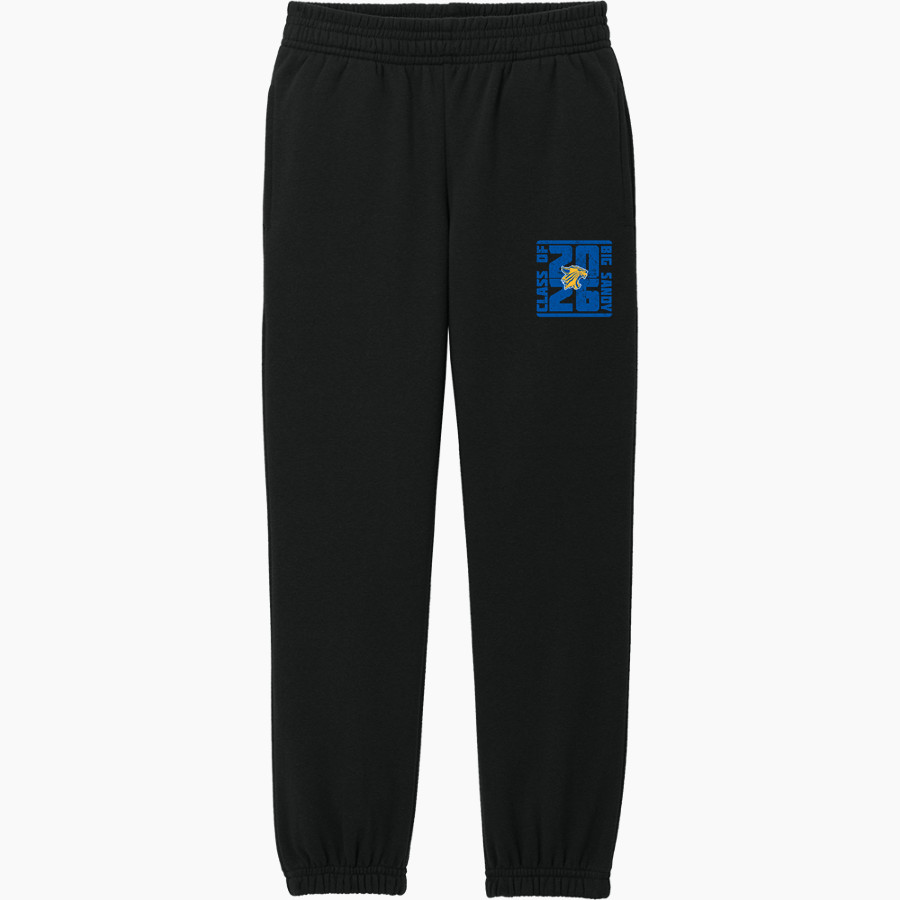 BIG SANDY HIGH SCHOOL WILDCATS <span class="pdp-name-mascot">BIG SANDY WILDCATS</span> District Youth V.I.T. Fleece Sweatpant