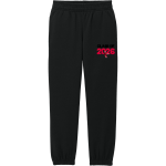 Imperial Tigers <span class="pdp-name-mascot">Imperial Tigers</span> District Youth V.I.T. Fleece Sweatpant Front Thumbnail